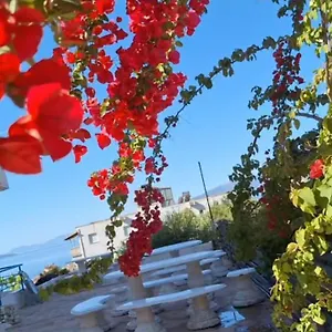 Leon Sarandë